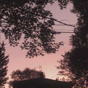 Meet your Posher, Danika